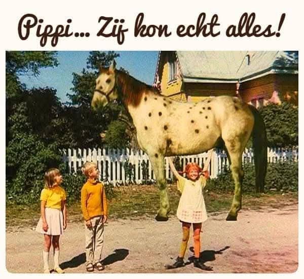 pipi